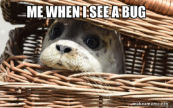 Impending Doom Seal