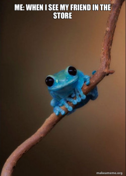 Small Fact Frog