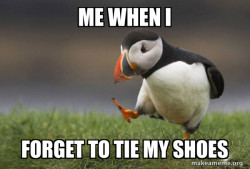 Unpopular Opinion Puffin