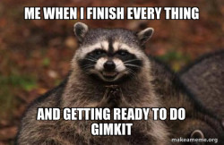 Evil Plotting Raccoon