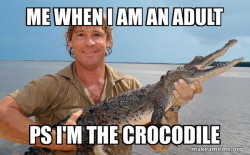 Steve irwin