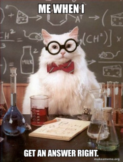 Chemistry Cat