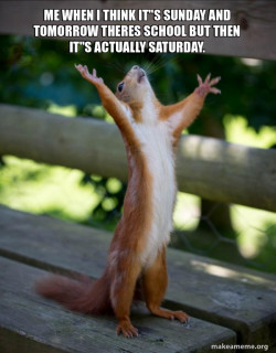 Happy Squirrel