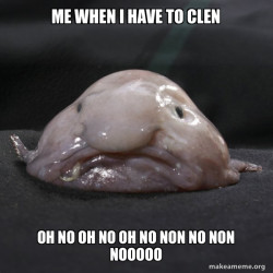 Blobfish
