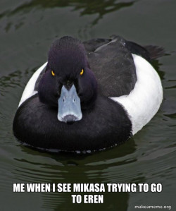 Revenge Duck ( Angry Advice Duck )