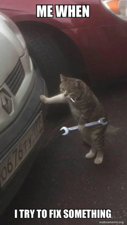 Mechanic Cat