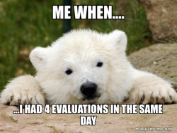 Popular Opinion Bear
