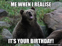 Sarcastic Bear
