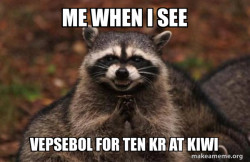 Evil Plotting Raccoon