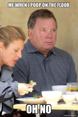Stunned Shatner