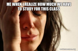 First World Problems