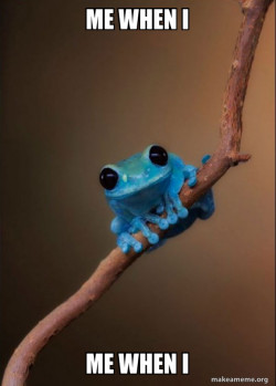 Small Fact Frog
