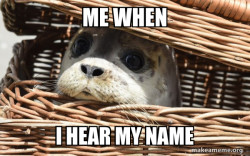 Impending Doom Seal