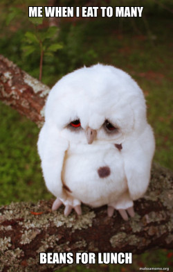 Sad Owl