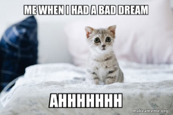 Cute Kitten