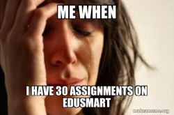 First World Problems