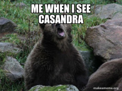Sarcastic Bear
