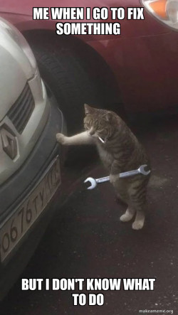 Mechanic Cat