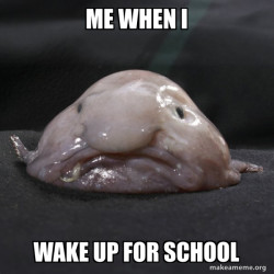 Blobfish