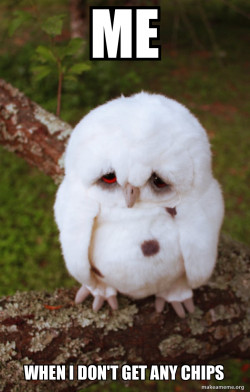 Sad Owl