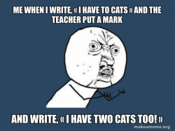Y U No