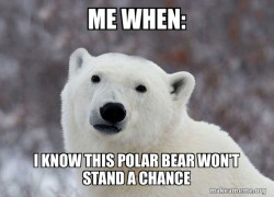 Popular Opinion Polar Bear