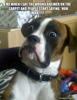 Skeptical Dog