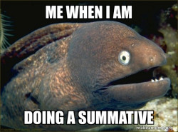Bad Joke Eel