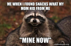 Evil Plotting Raccoon