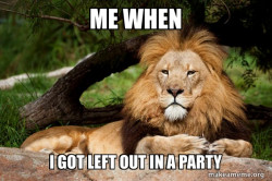 Contemplative Lion