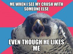 Millennial Falcon