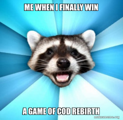 Lame Pun Coon