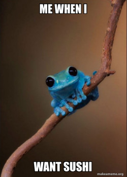 Small Fact Frog