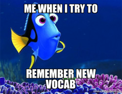 Dory from Nemo  (5 second memory)
