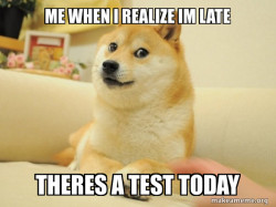Doge