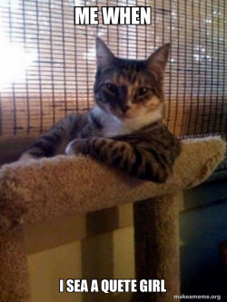 The Most Interesting Cat in the World