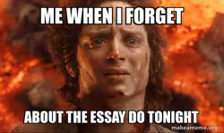 Frodo it's over it's done