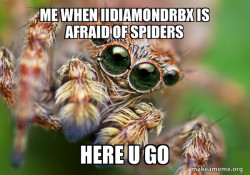 Hipster Spider