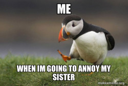 Unpopular Opinion Puffin