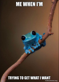 Small Fact Frog