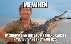 Steve irwin
