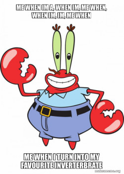 Mr Krabs