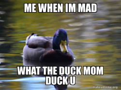 Zen Advice Mallard