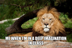 Contemplative Lion