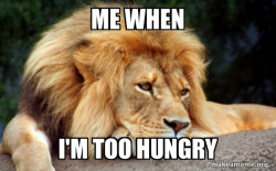 Confession Lion