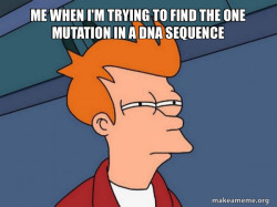 Futurama Fry