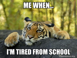 Confession Tiger