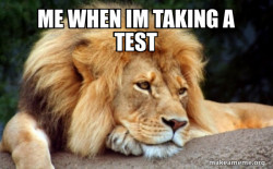 Confession Lion