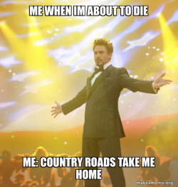 Tony Stark Success