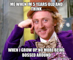 Willy Wonka Sarcasm Meme